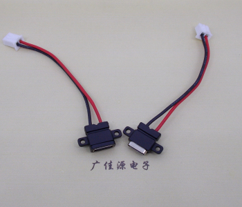 type c防水母座注塑成型带双螺丝孔带线带接线端子单充电功能